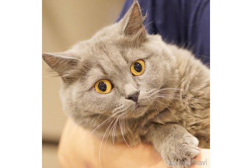 おはぎちゃん1枚目